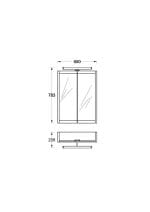 Ogledalo sa ormarićem TERRA Graphite 55 cm